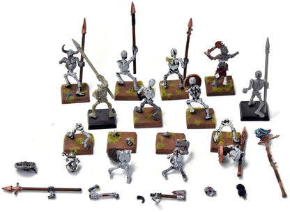 VAMPIRE COUNTS 12 Skeleton Warriors #3 Fantasy