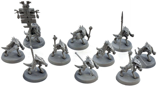 SERAPHON 10 Saurus Warriors #2 Warhammer Sigmar