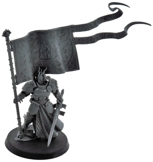 STORMCAST ETERNALS Knight Vexillor #1 Warhammer Sigmar With Banner