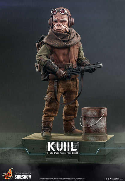 Kuiil™ Sixth Scale Figure by Hot Toys