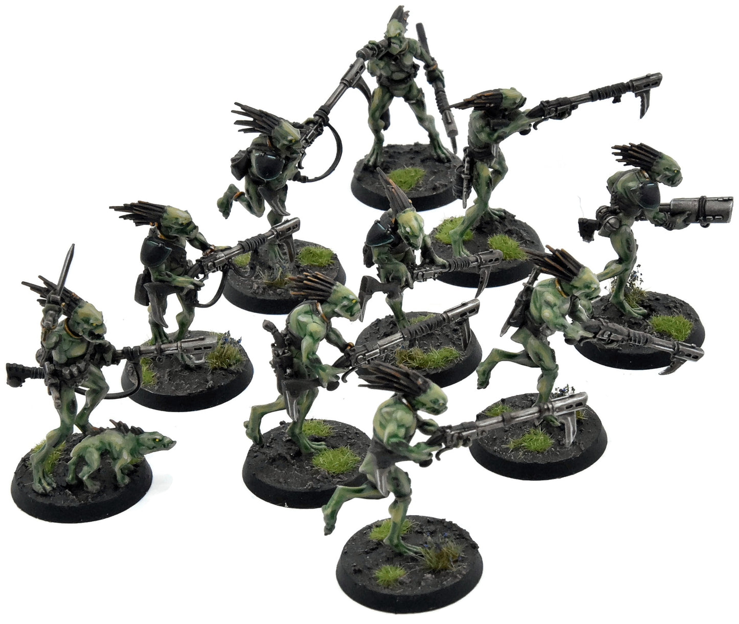 TAU EMPIRE 10 Kroot Carnivores #1 PRO PAINTED Warhammer 40K