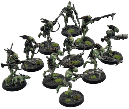 TAU EMPIRE 10 Kroot Carnivores #1 PRO PAINTED Warhammer 40K
