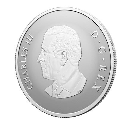 Welcome to the World! - Fine Silver Coin (2025)(247566)