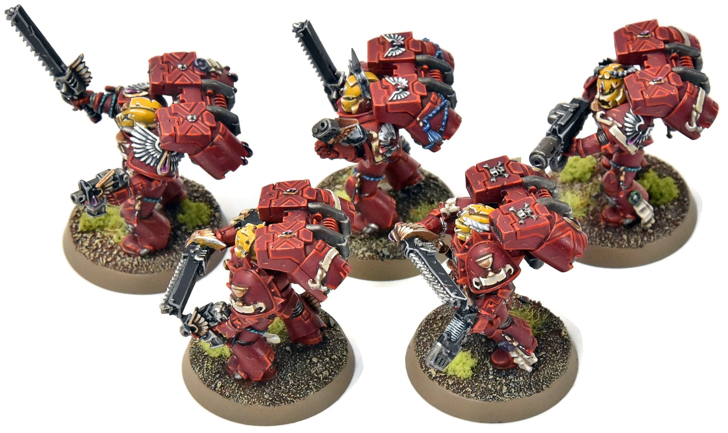 BLOOD ANGELS 5 Vanguard Veteran Squad #14 PRO PAINTED Warhammer 40K