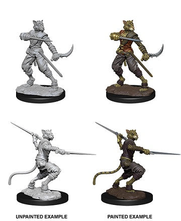 Dnd Unpainted Minis Wv7 Male Tabaxi Rogue