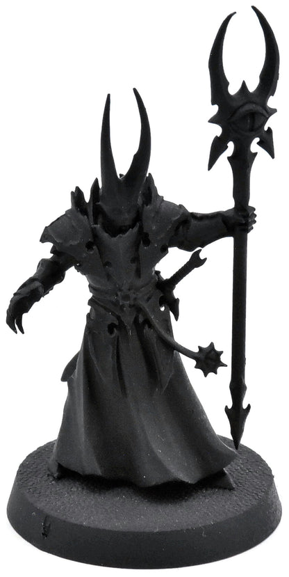 DISCIPLES OF TZEENTCH Chaos Sorcerer Lord #1 Warhammer Sigmar