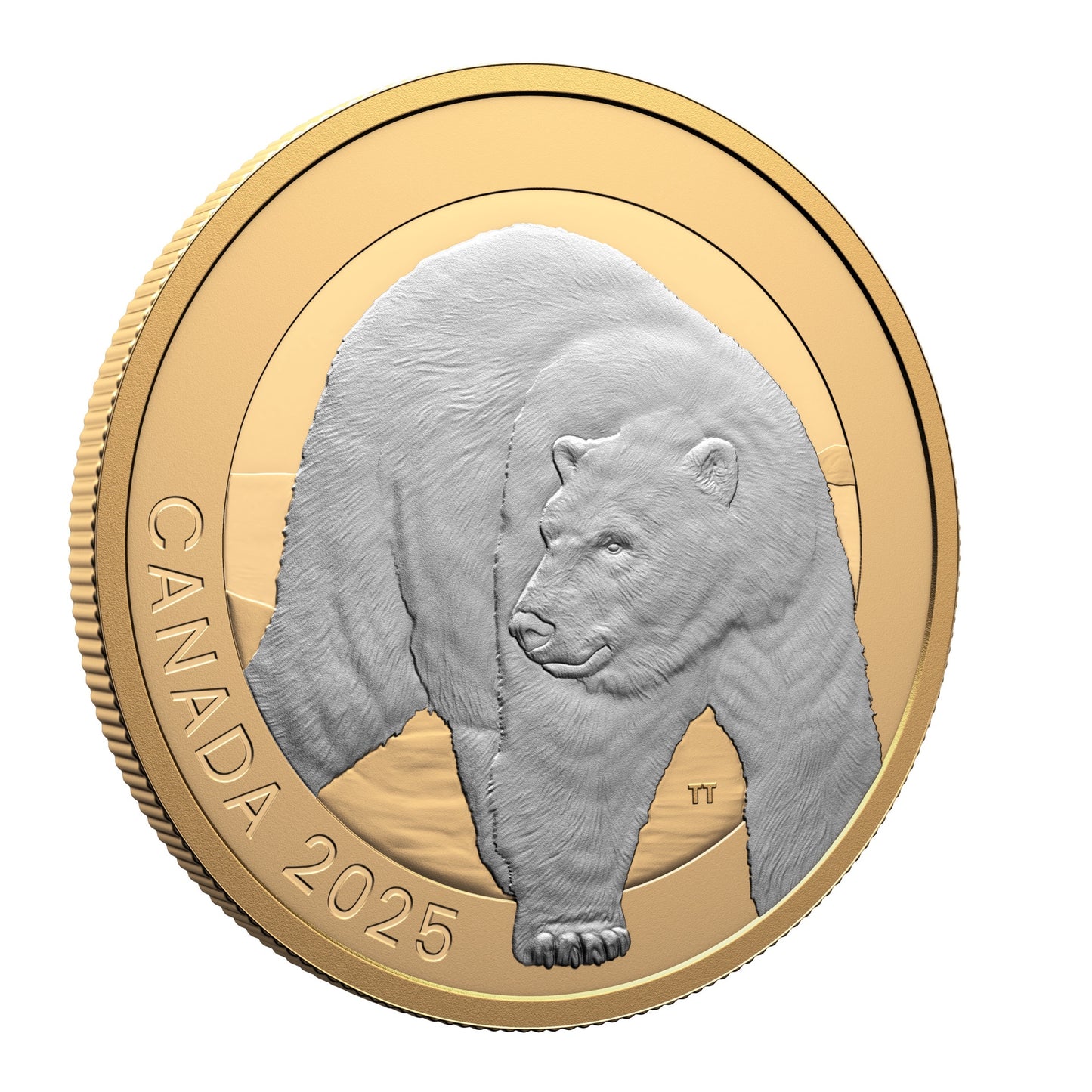Animal Portraits: Polar Bear – 1 oz. $20 1 oz Fine Silver Coin (249552)