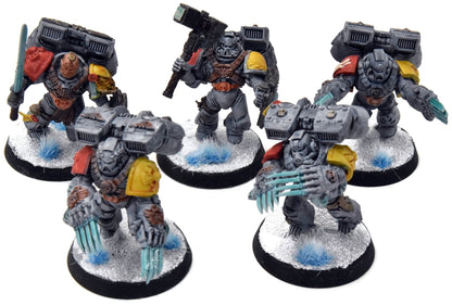 SPACE WOLVES 5 Varanguard Veterans #1 Warhammer 40K