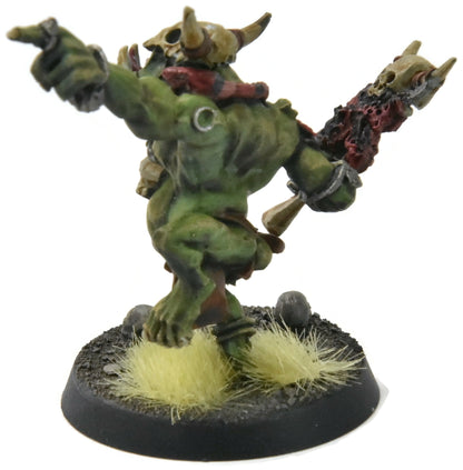 ORRUK WARCLANS Wardokk #2 WELL PAINTED Sigmar