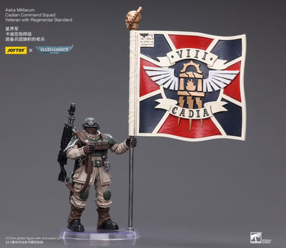 Cadian Command Squad Veteran with Regimental Standard Astra Militarum Joy Toy