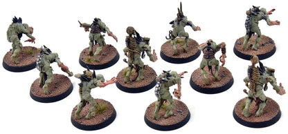 FLESH-EATER COURTS 10 Crypt Ghouls #1 WELL PAINTED Sigmar