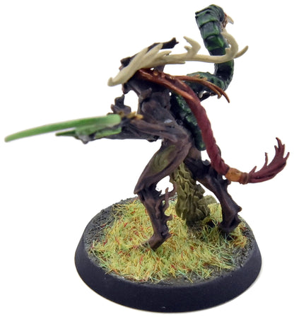 SYLVANETH Branchwych #2 WELL PAINTED Sigmar 2615