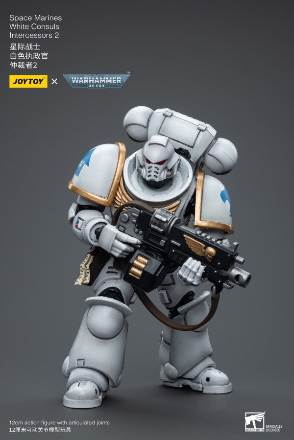 White Consuls Intercessors 2 Space Marines Joy Toy