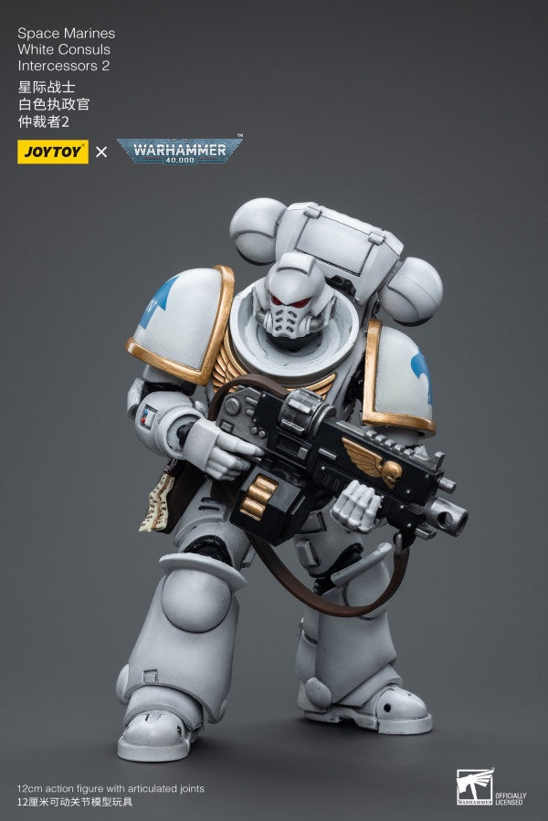 White Consuls Intercessors 2 Space Marines Joy Toy