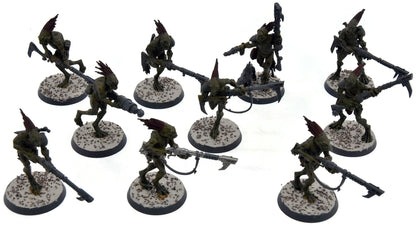 TAU EMPIRE 10 Kroot Carnivores #5 Warhammer 40K