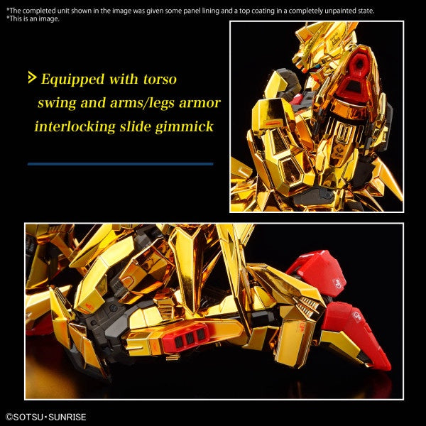 AKATSUKI GUNDAM OOWASHI unit RG 1/144 Bandai