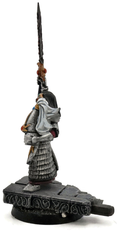 HIGH ELVES Champion Of Hoeth #1 WELL PAINTED Warhammer Fantasy