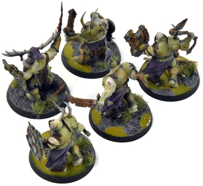 MAGGOTKIN OF NURGLE 5 Putrid Blightkings #1 Converted WELL PAINTED Sigmar