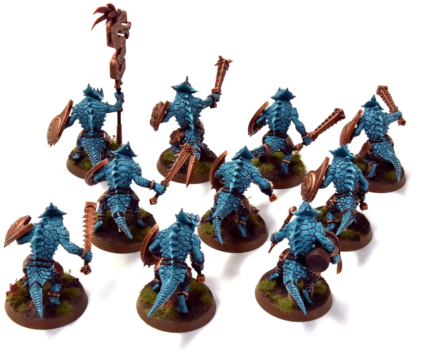 SERAPHON 10 Saurus Warriors #1 PRO PAINTED Sigmar