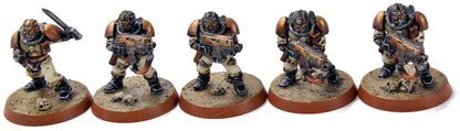 SPACE MARINES 5 Scouts #2 PRO PAINTED Warhammer 40K Alternate heads