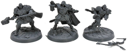 STORMCAST ETERNALS Xandire Truthseekers #1 Warhammer Sigmar Missing Bird