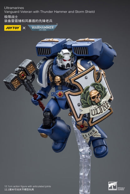Vanguard Veteran with Thunder Hammer and Storm Shield Ultramarines Joy Toy