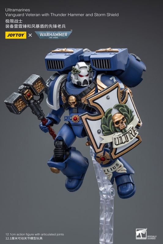 Vanguard Veteran with Thunder Hammer and Storm Shield Ultramarines Joy Toy