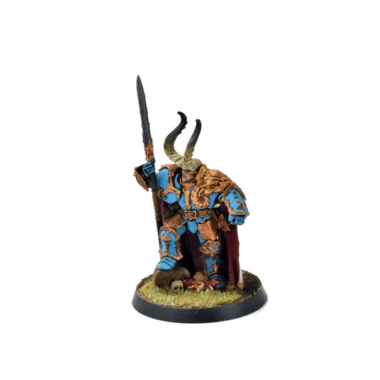 DISCIPLES OF TZEENTCH Chaos Lord WELL PAINTED Sigmar #1