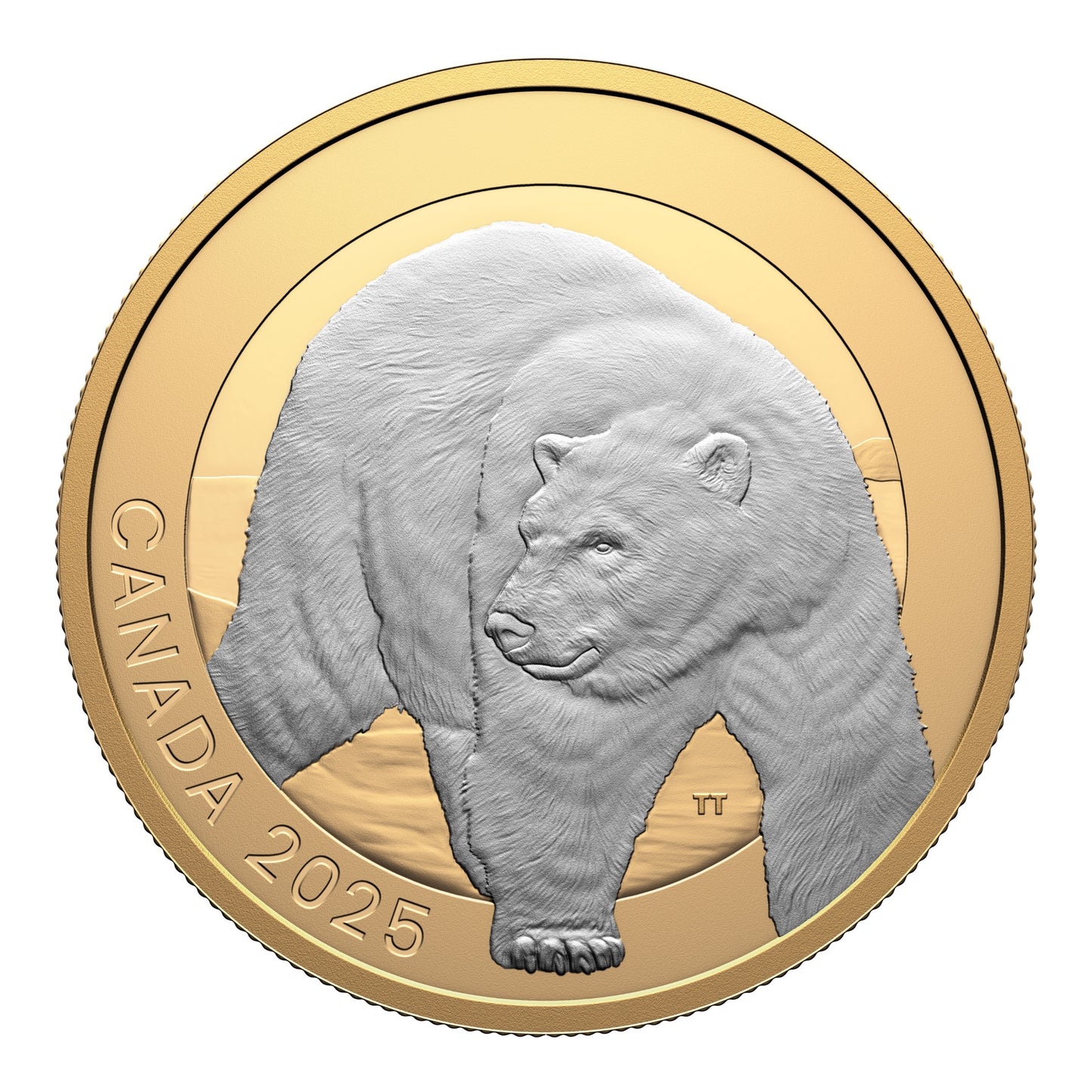 Animal Portraits: Polar Bear – 1 oz. $20 Fine Silver Coin