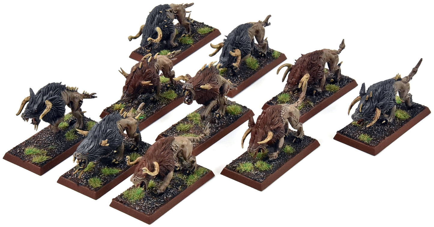 BEASTMEN 10 Chaos Warhounds #1 PRO PAINTED Fantasy