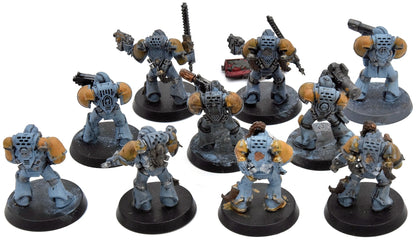 SPACE WOLVES 10 Grey Hunter #4 Warhammer 40K