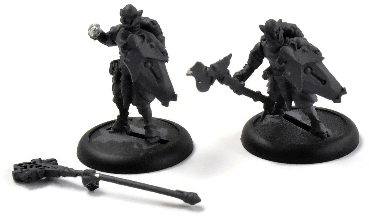 WARMACHINE Retribution of Scyrah Houseguard Halberdier & Officer w/ Standard