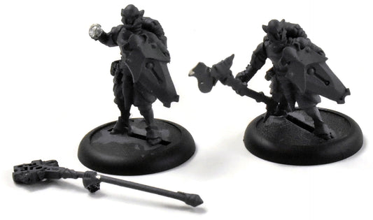 WARMACHINE Retribution of Scyrah Houseguard Halberdier & Officer w/ Standard