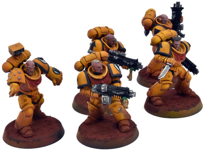 SPACE MARINES 5 Primaris Intercessors #1 PRO PAINTED 40K Imperial Fists
