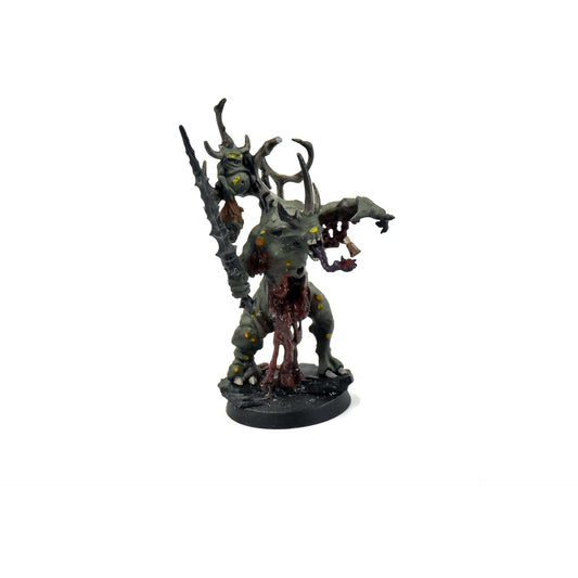 DAEMONS OF NURGLE Herald Of Nurgle #1 WELL PAINTED poxbringer 40K Sigmar