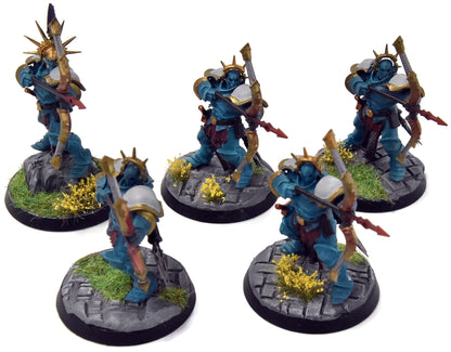 STORMCAST ETERNALS 5 Judicators #3 Sigmar WELL PAINTED