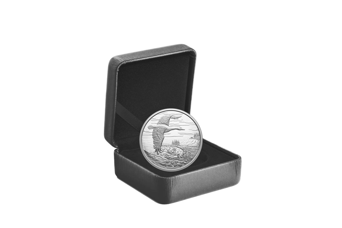 $20 1 oz Fine Silver Coin - Interconnected Nature 2025 (250359)
