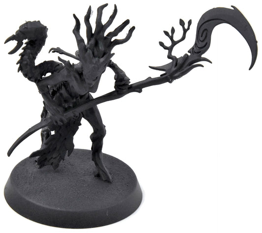 SYLVANETH Branchwych #1 Warhammer Age of Sigmar