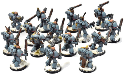 SPACE WOLVES 15 Blood Claws #1 WELL PAINTED Warhammer 40K