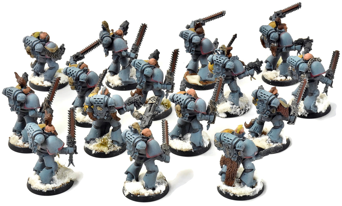 SPACE WOLVES 15 Blood Claws #1 WELL PAINTED Warhammer 40K