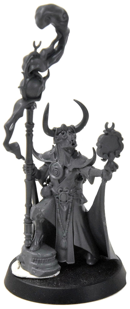 HEDONITE OF SLAANESH Shardspeaker #1 Sigmar