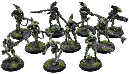 TAU EMPIRE 10 Kroot Carnivores COMMISSION PRO PAINTED Warhammer 40K