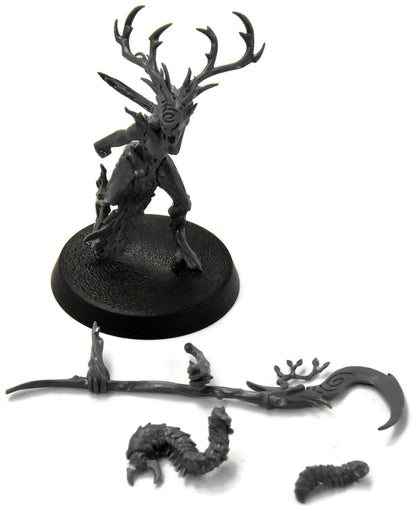 SYLVANETH Branchwych #1 Sigmar 3932