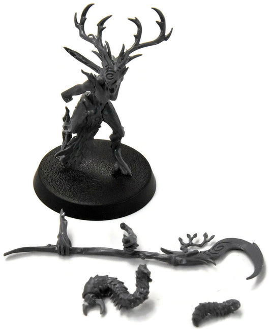 SYLVANETH Branchwych #1 Sigmar 3932