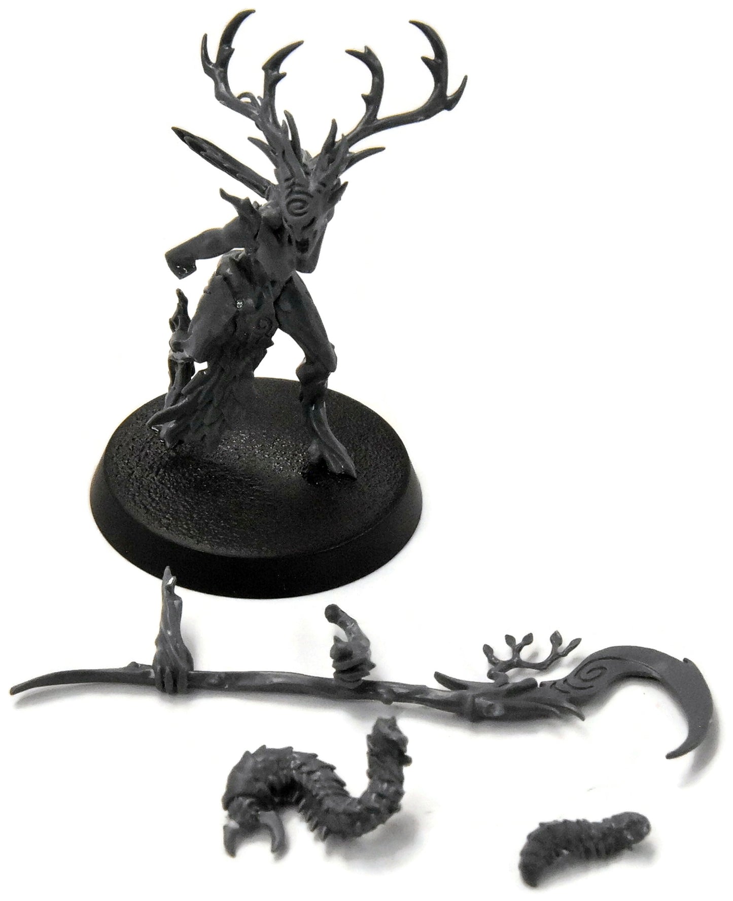SYLVANETH Branchwych #1 Sigmar 3932