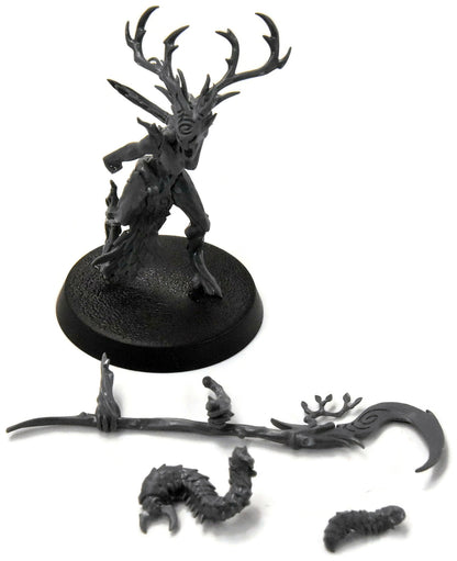 SYLVANETH Branchwych #1 Sigmar 3932