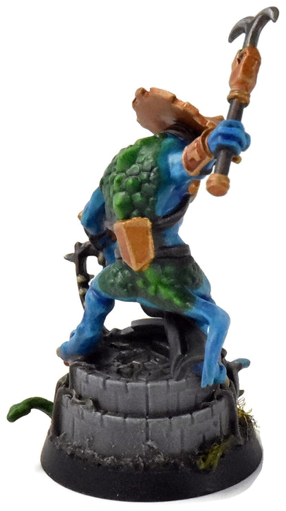 SERAPHON Skins Starpriest Oracle #1 PRO PAINTED Sigmar