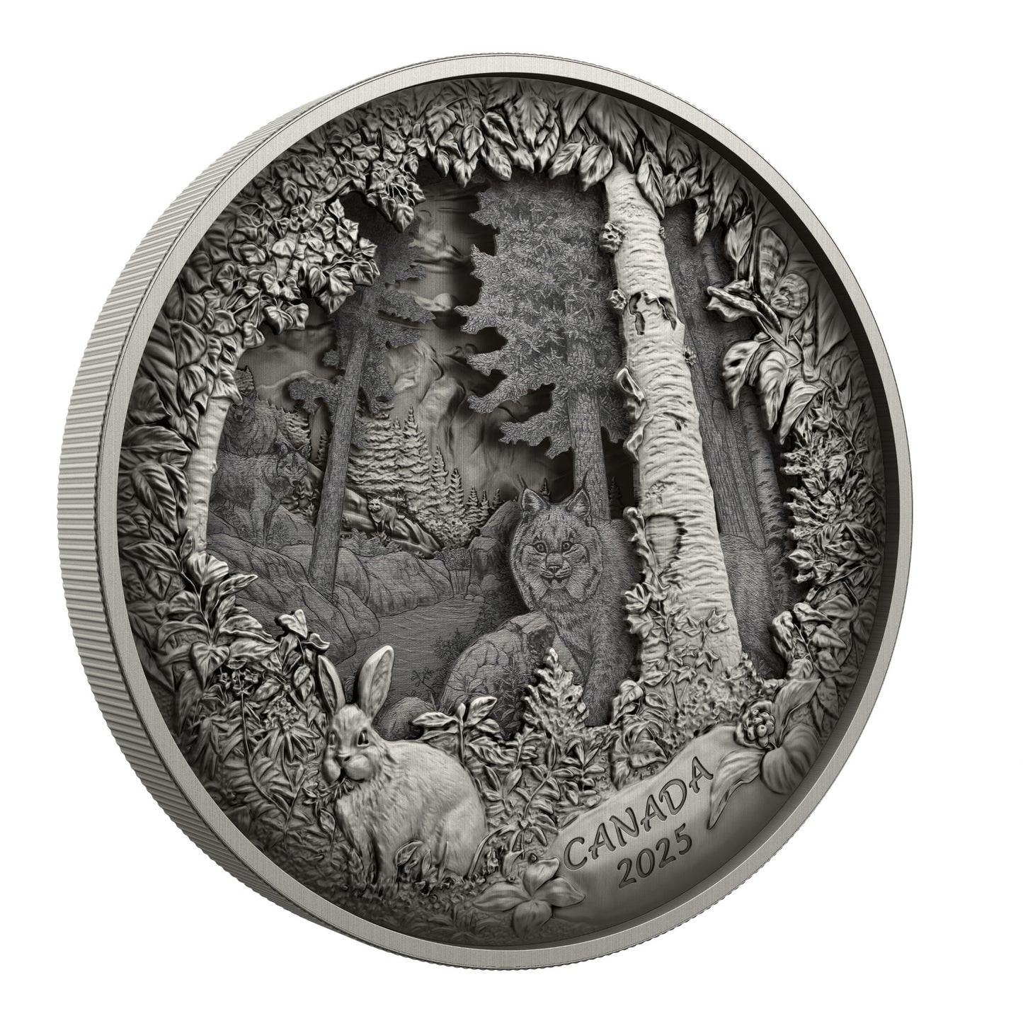 Predator or Prey in Shadow Box – Fine Silver Coin (247976)