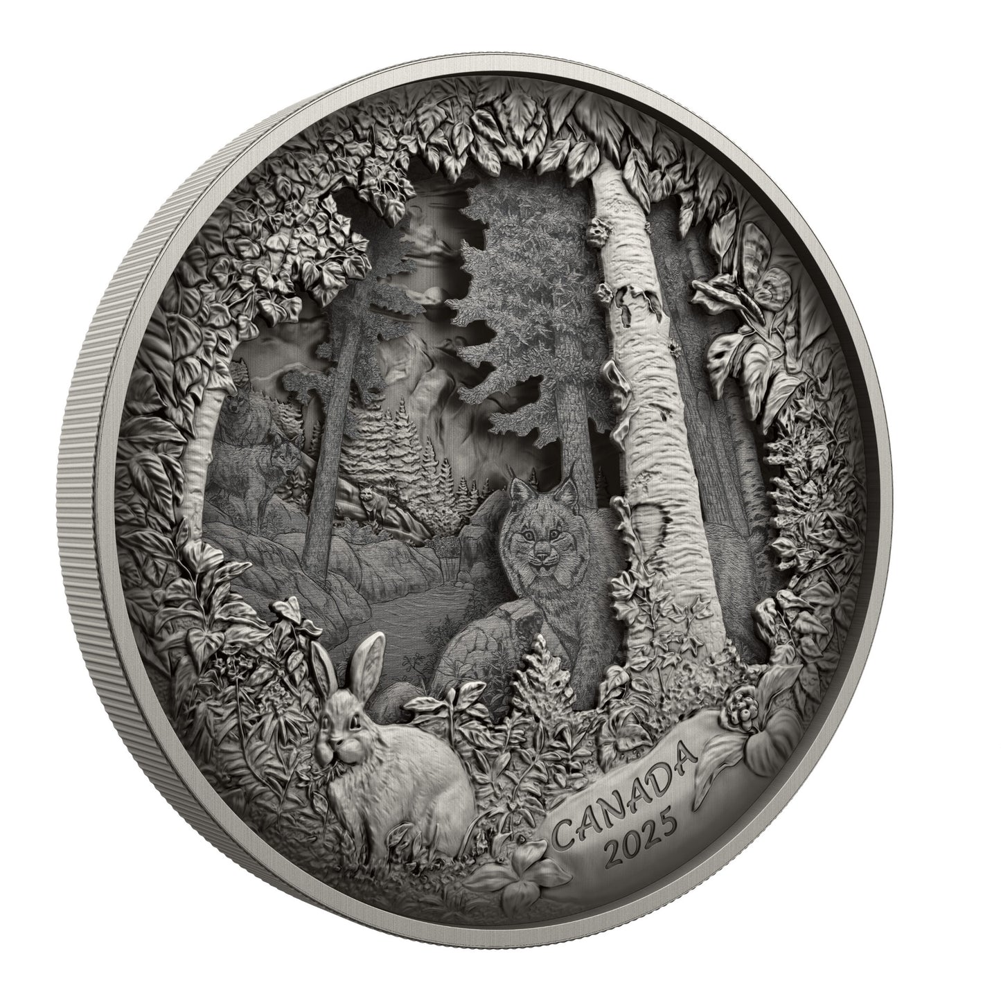 Predator or Prey in Shadow Box – Fine Silver Coin (247976)