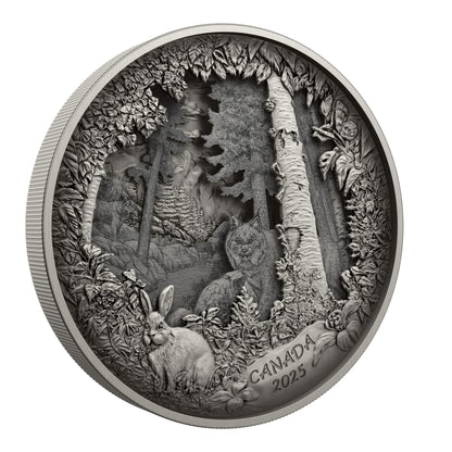 Predator or Prey in Shadow Box – Fine Silver Coin